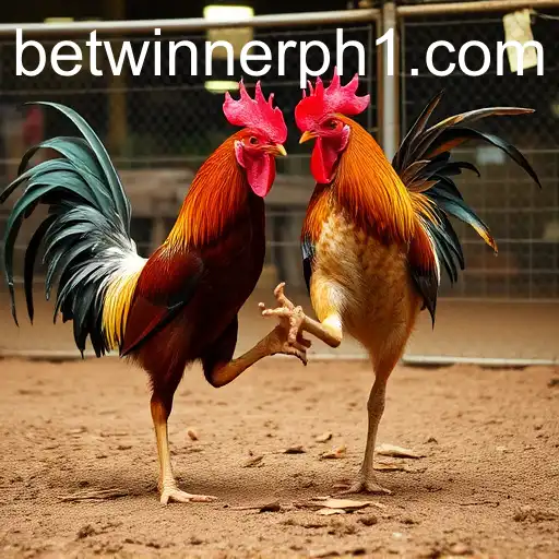 Exploring the World of Sabong Games with Betwinner PH